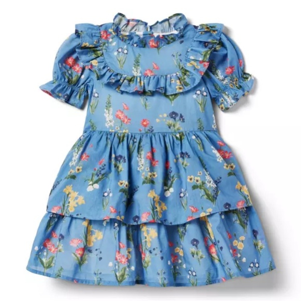 Janie and Jack Blue Floral Dress